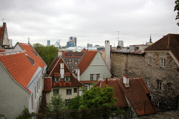 Tallinn Estonia 05 27 2022 . red tile roofs of Tallinn