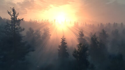 Fototapeta premium Magical Sunset Sunbeams Piercing Through Misty Forest Landscape