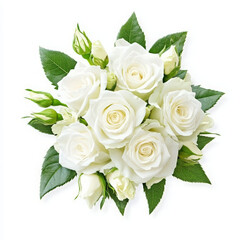 Obraz premium A bouquet of white roses with green leaves on a white background.