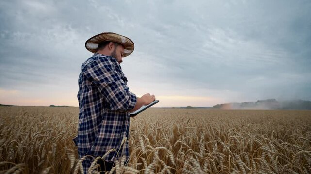 Professional agronomist with electronic tablet in hands standing in gold field. Summertime in countryside, harvesting season, harvester machinery collecting ripe rye and wheat ears, slow motion