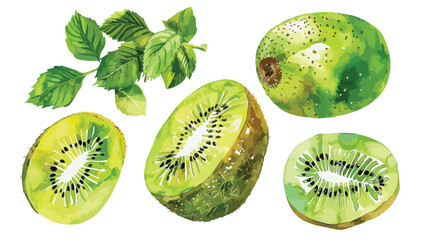 Fototapeta premium Vibrant Kiwi Fruit Watercolor Illustration on Branch