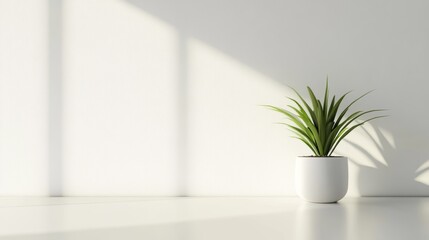 Minimalist workspace with single potted plant, bright white background, clean lines