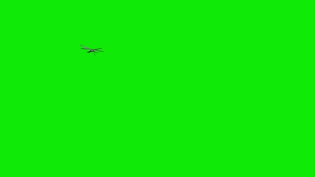 Dragonfly Flying Around Screen Loop - Green Screen - Realistic 3D animation isolated on chroma key background
