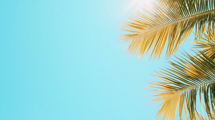 Fototapeta premium Sunlit palm leaves against a clear blue sky