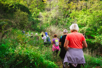 A group of elderly people walking in the woods. Concept of keeping active in the third age. Summer,...
