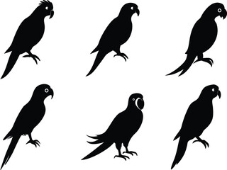 
Set of Cute Parrot Birds Vector Silhouette Artwork in a White Background