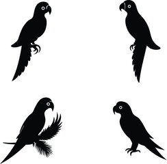 Collection of Parrot Birds Silhouette vector illustration on a White Background