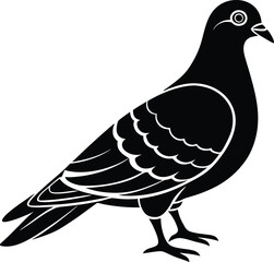 Pigeon Bird vector artwork in black with a white background