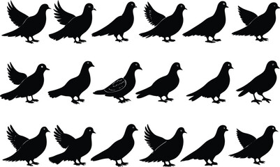 Bundle of Pigeon Birds Silhouettes vector illustration with white background