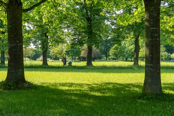 Peaceful park scene with a family walking under lush green trees on a sunny day