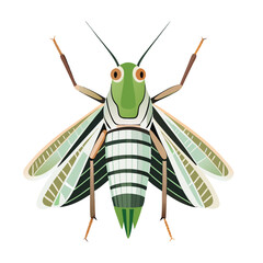 white lined bird grasshopper best image vector design
