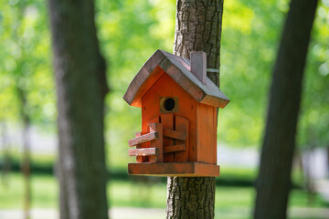 Orange birdhouse on a tree in a green park.