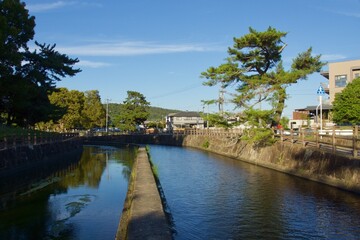 Fototapeta premium 酒津公園の秋 曼珠沙華 彼岸花