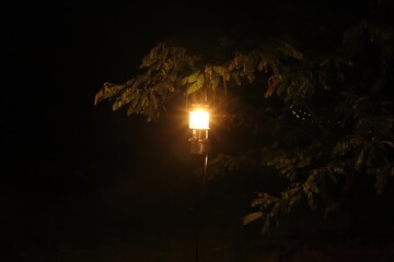 A lantern illuminates the darkness casting a warm glow on surrounding leaves creating a serene...