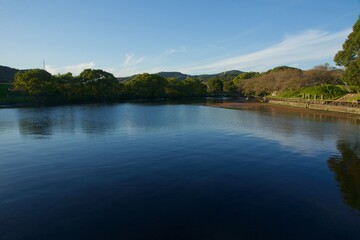Fototapeta premium 酒津公園の秋 曼珠沙華 彼岸花