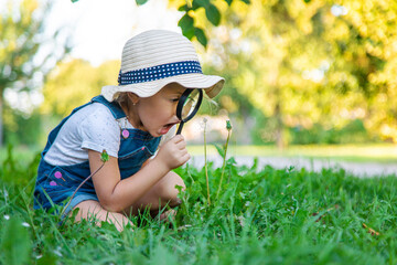 A child looks through a magnifying glass in nature. Selective focus.