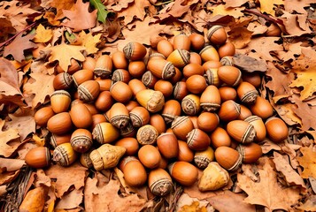 _. Scattered Acorns Oak acorns strewn across a forest floor, sur