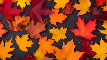 Fototapeta premium Vibrant and Colorful Autumn Leaves Scattered on the Ground Capturing the Essence of the Picturesque Fall Season