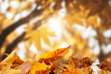 orange dry fall  leaves, natural background