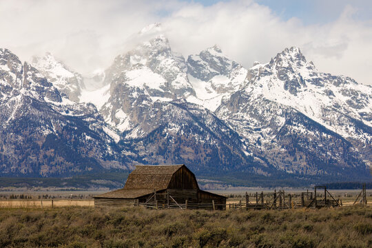 John Moulton barn with the snow covered Teton Mountains in the background on Mormon Row, Grand Teton National Park, Jackson Hole, Wyoming during spring

