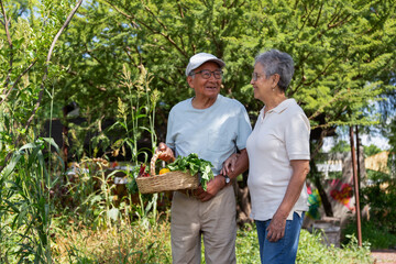 A man and a woman are holding a basket of vegetables in a garden. They are smiling and seem to be enjoying their time together