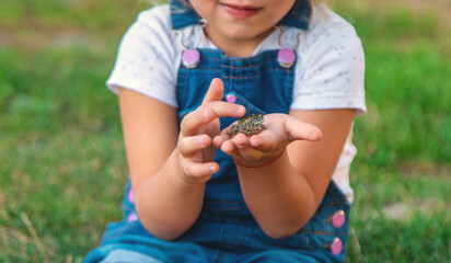 A child looks through a magnifying glass in nature. Selective focus.