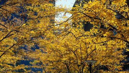 The beautiful Philadelphia city view in autumn