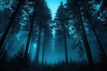Obraz premium Mysterious Dark Forest with Foggy Atmosphere