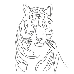 One continuous single drawing line art flat doodle tiger, animal, mammal, carnivore, wildlife, portrait, nature, big cat, striped, danger. Isolated image hand draw contour on a white background
