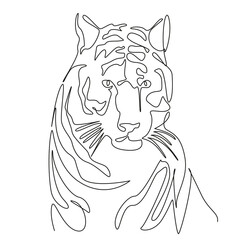One continuous single drawing line art flat doodle tiger, animal, mammal, carnivore, wildlife, portrait, nature, big cat, striped, danger. Isolated image hand draw contour on a white background