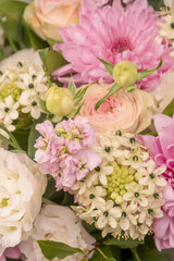 Bouquet of flowers with pink roses, chrysanthemum and freesia flower in a vase isolated on a white background.