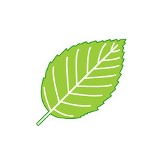 Birch leaf line icon in bright green, vibrant forest symbol