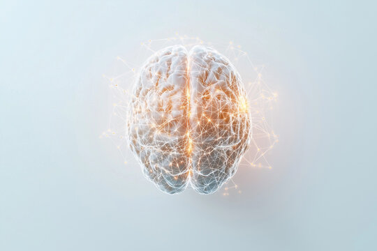 Human Brain Network: A 3D Illustration of Cognitive Function