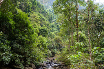 Pa La U Waterfall, the beautiful waterfall in deep forest at Kaeng Krachan National Park, Thailand. © Latthaphon
