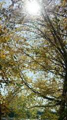 The beautiful Philadelphia city view in autumn