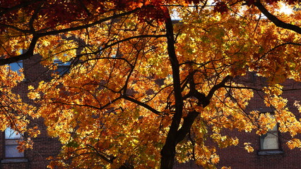 The beautiful Philadelphia city view in autumn