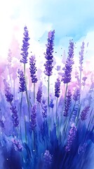 Fototapeta premium Beautiful Watercolor Lavender Field Painting