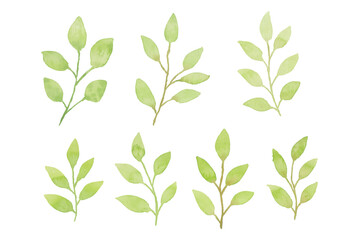 Assortment of watercolor leaves illustration set - green leaf branches collection for wedding, greetings, stationary, wallpapers, fashion, background. olive, green leaves, Eucalyptus etc
