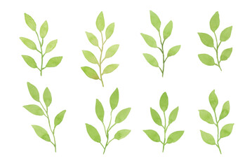 Assortment of watercolor leaves illustration set - green leaf branches collection for wedding, greetings, stationary, wallpapers, fashion, background. olive, green leaves, Eucalyptus etc