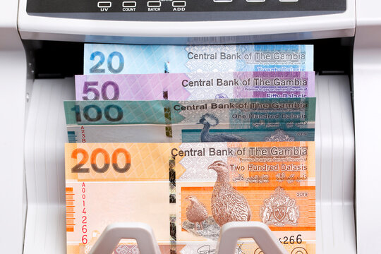 Gambian dalasi in the counting machine