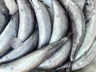 Fresh seafood fish lying on ice on a central city market