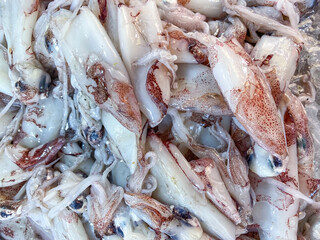 Fresh seafood squids calamari on a central city market