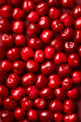 Cherry background full frame image. View of fresh cherries from above. Top view