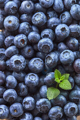 Blueberry background full frame image. View of fresh blueberries from above. Top view