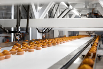 Cupcake production on a container line. Confectionery shop