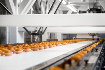 Cupcake production on a container line. Confectionery shop