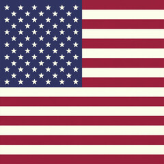 Naklejka premium U.S.A flag vector illustration
