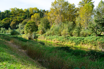 Obraz premium Serene Green River 2