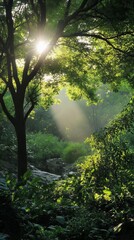 Obraz premium Sunlight beams through the leaves of a lush green forest, creating a magical atmosphere.