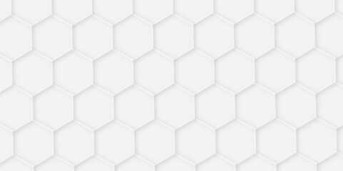 3d hexagonal structure futuristic white background and embossed hexagon abstract with hexagon background. honeycomb hexagonal background. Hexagon shape, white, shiny gray line. hexagon pattern shape.